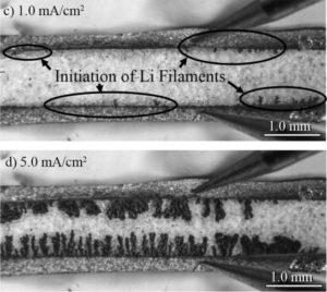 Microscopic photo of iniation of Li Filaments