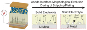 anode interface morphological evolution during li stripping/plating
